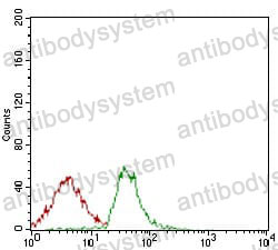 Anti-CD166/ALCAM Antibody (R3S90)