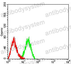 Anti-CD166/ALCAM Antibody (R3S91)