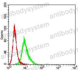 Anti-CD166/ALCAM Antibody (R3S92)