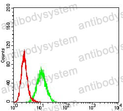 Anti-RUNX3 Antibody (R3S94)