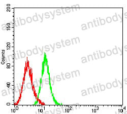 Anti-LRP8 Antibody (R3T10)