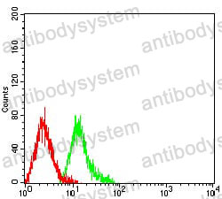 Anti-TRIM29 Antibody (R3T12)