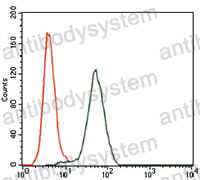 Anti-KEAP1 Antibody (R3T14)