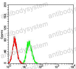 Anti-TRIM25 Antibody (R3T18)