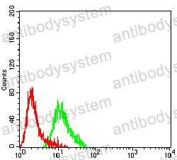 Anti-GRM2 Antibody (R3T21)