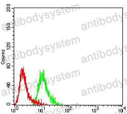 Anti-GRM2 Antibody (R3T22)
