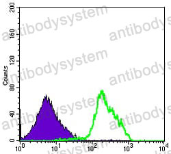 Anti-BECN1 Antibody (R3T23)