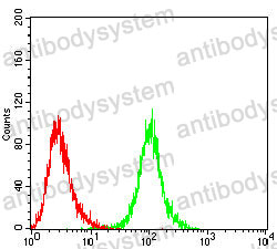 Anti-NEDD9 Antibody (R3T24)