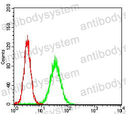 Anti-SEMA3A Antibody (R3T25)