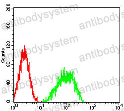 Anti-IRF3 Antibody (R3T27)