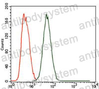 Anti-MELK Antibody (R3T28)
