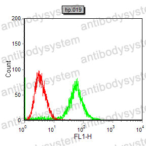 Anti-CBX2 Antibody (R3T32)