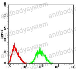 Anti-GRM7 Antibody (R3T37)