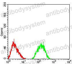 Anti-GRM7 Antibody (R3T38)