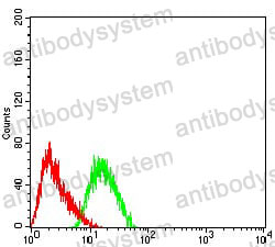 Anti-GRM3 Antibody (R3T39)