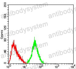 Anti-GRM3 Antibody (R3T40)