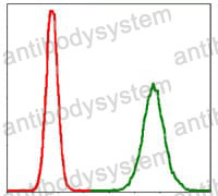 Anti-PTPA Antibody (R3T61)