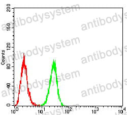 Anti-ERBB4/Her4 Antibody (R3T64)