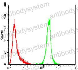 Anti-ERBB4/Her4 Antibody (R3T63)