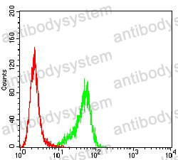 Anti-P2RY14 Antibody (R3T71)