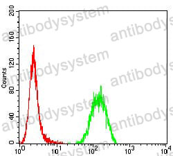 Anti-P2RY14 Antibody (R3T70)
