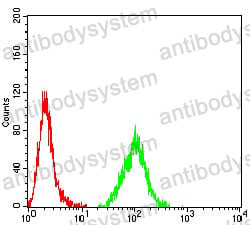 Anti-CNN3 Antibody (R3T76)