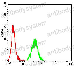 Anti-CNN3 Antibody (R3T75)
