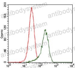 Anti-SHH Antibody (R3T79)