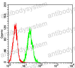 Anti-SPA17 Antibody (R3T83)