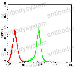 Anti-SPA17 Antibody (R3T82)