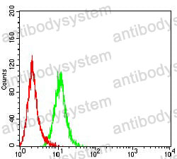 Anti-TRADD Antibody (R3T86)