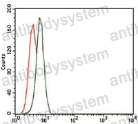 Anti-TRIP6 Antibody (R3T90)