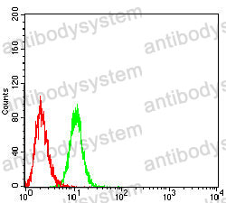 Anti-β-tryptase/TPSAB1 Antibody (R3T91)