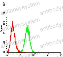Anti-β-tryptase/TPSAB1 Antibody (R3T92)