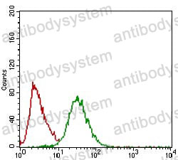 Anti-TWIST1 Antibody (R3T93)