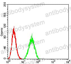 Anti-PTPN14 Antibody (R3T94)
