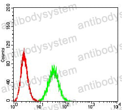 Anti-PTPN14 Antibody (R3T95)