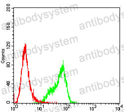 Anti-MYLK Antibody (R3T99)