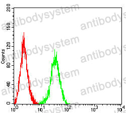 Anti-GPR19 Antibody (R3U01)