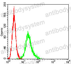 Anti-CD226/DNAM-1 Antibody (R3U03)