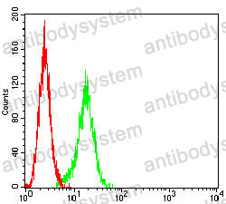 Anti-CD226/DNAM-1 Antibody (R3U02)