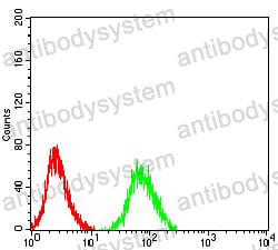 Anti-CHRNA6 Antibody (R3U11)