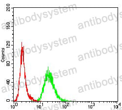 Anti-Adiponectin/ACRP30/ADIPOQ Antibody (R3U16)
