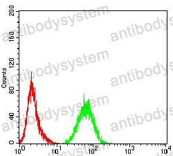 Anti-Adiponectin/ACRP30/ADIPOQ Antibody (R3U15)