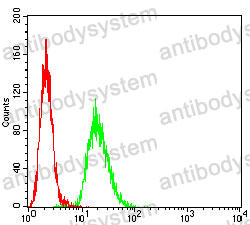 Anti-ATP6AP1 Antibody (R3U17)