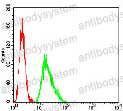 Anti-ATP6AP1 Antibody (R3U18)