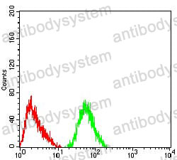 Anti-GRIK4 Antibody (R3U21)