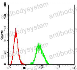 Anti-GRIK4 Antibody (R3U22)