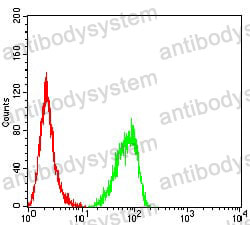 Anti-RBBP7 Antibody (R3U39)