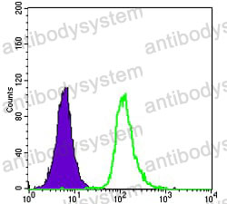 Anti-SMN1 Antibody (R3U43)